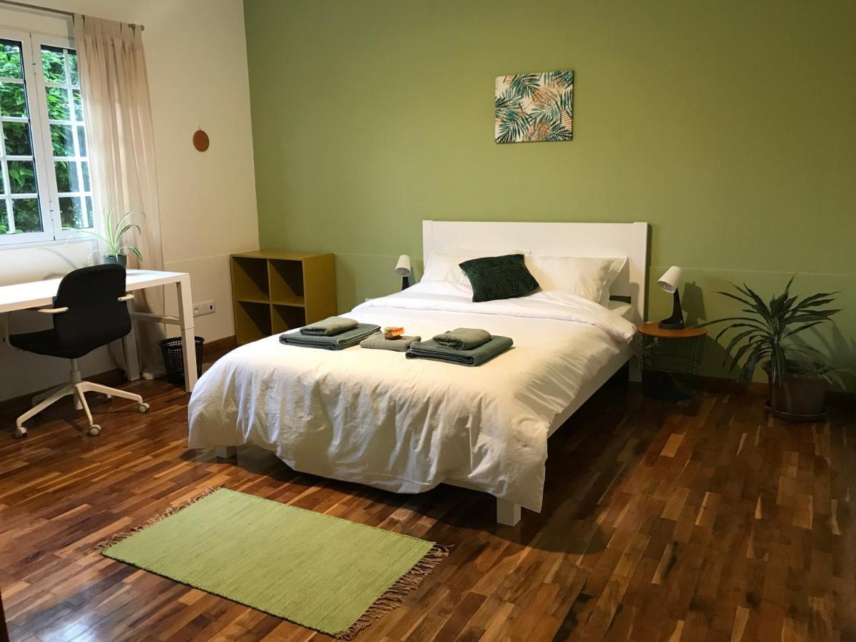 Lava Acores Coliving & Coworking Ribeira Grande Exterior foto